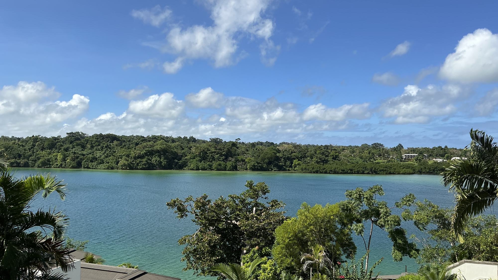 The view from the garden's edge across a turquoise tropical lagoon to a green forested far shore under a bright blue sky, framed by palms.